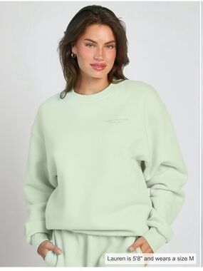 Pastel Edit Comfrt Crewneck Sweatshirt in Pale Mint
